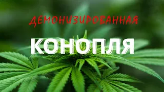 Демонизированная КОНОПЛЯ