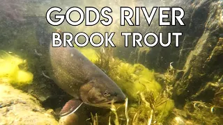 Gods River Brook Trout & Pike | Manitoba