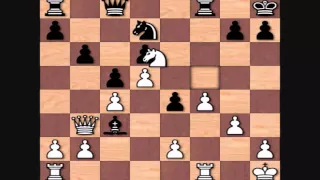 Max Euwe's Best Games: vs Alexander Alekhine