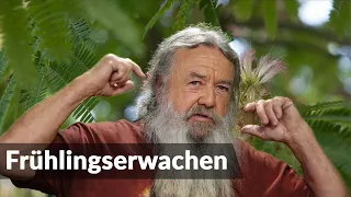 Wolf-Dieter Storl | Die alte Göttin und ihre Pflanzen im Frühlingserwachen | LitLounge.tv