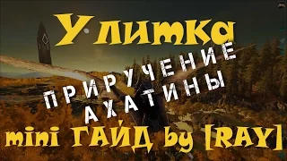 Ark: Survival Evolved - Улитка. Гайд по Ахатине.