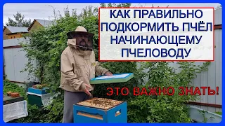 🔴 Инвертируем сахарный сироп и кормим пчёл. Пчеловодство для начинающих 2023 🔴