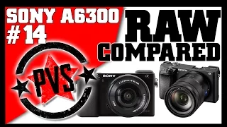 Sony A6300 vs. A6000 - RAW Image Comparison