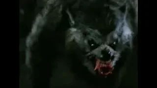 An American Werewolf In London (1981) - Trailer [Version 2]