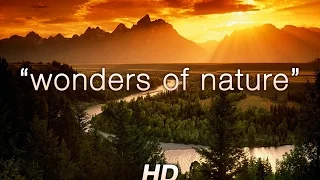 "Wonders of Nature" 1 HR Amazing Nature HD Relaxation Video 1080p