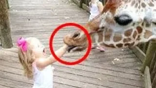 Best of Funny KIDS vs ZOO ANIMALS Compilation Fail Vines