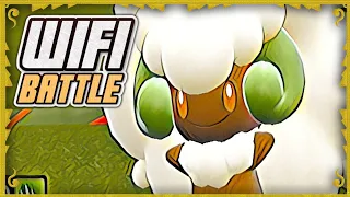 TAILWIND WHIMSICOTT IS THE BEST - Pokemon Indigo disc wifi battle