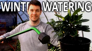 Should I Water My Potted Plants Through the Winter:  Winter Season Plant Care Tips