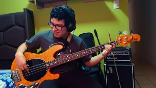 Nimrodel bass cover