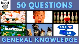 General Knowledge Quiz Trivia #6 | Acetaminophen, Home Alone, Bowling, Scrabble, Dog Breed, Brexit