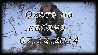 Охота на кабана в Воронежской обл.,  07.12.2014 г.