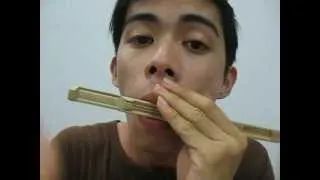 Bamboo jew's harp with 3 and 4 tongues