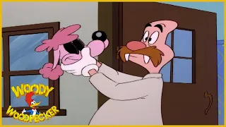 Woody Woodpecker | K-9 Woody-0 | Full Episodes