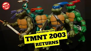 2023 TMNT 2003 RE-ISSUES | Playmates Toys