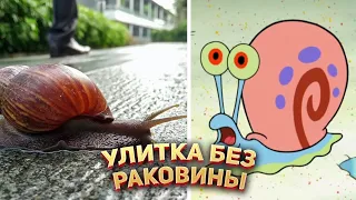 🐌 Выживет ли улитка без раковины?