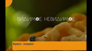 Видимое Невидимое. Эфир от 05.02.2020. Тёмное Царство.