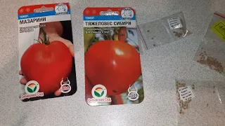Мои проверенные временем сорта томатов для раннего урожая. От них не откажусь никогда.