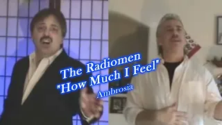 How Much I Feel - The Radiomen