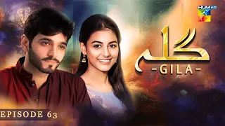 Gila Episode 63 [ Wahaj Ali - Anzela Abbasi ] Best Pakistani Serial - HUM TV
