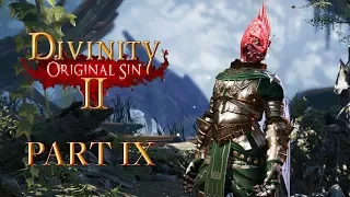 Divinity: Original Sin 2 - Part 9 - The Red Prince (Singleplayer - DOS2)