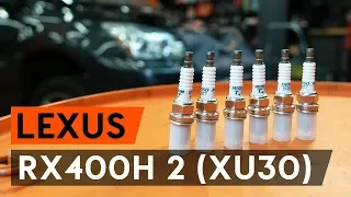 Как заменить свечи зажигания на LEXUS RX400h 2 (XU30) [ВИДЕОУРОК AUTODOC]