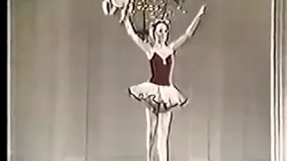 Baryshnikov Tarantella