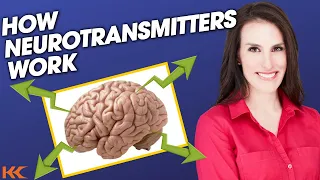 How to Balance Neurotransmitters in the Brain Naturally With Dr Ann Barter