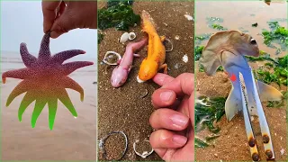 Catching Seafood 🐙🦀 Deep Sea Octopus (Catch Fish, Catch Shark, Sea Creatures) TikTok #54