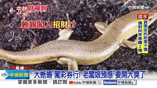 威力彩9.11億獎落高雄! 業者超嗨"店裡來大蜥蜴"送獎?!│中視新聞 20230929