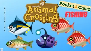 Animal Crossing Pocket Camp Fishing! Episode 1