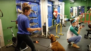 THE MOST HILARIOUS GYM MANNEQUIN CHALLENGE