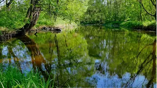 Весенняя прогулка по Житомиру-Часть 7 (Spring walk in Zhytomyr-7) 4К Ultra HD - Видео