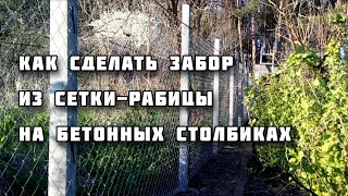 Забор из сетки-рабицы на бетонных столбиках