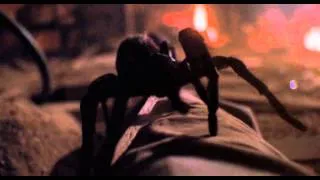 Arachnophobia Animatronic Spider