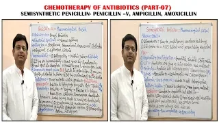 Chemotherapy of Antibiotics (Part-07) Penicillin (3)= Semisynthetic Penicillin | Chemotherapy