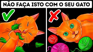 26 Erros Perigosos Que Donos De Gato Cometem