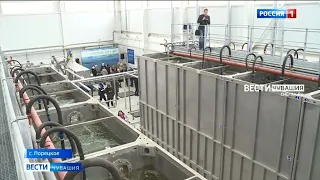 В этом году в Чувашии на реализацию водной реформы выделят более 350 млн рублей