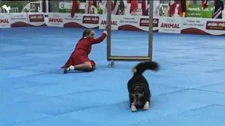 Woman and dog leave crowd speechless with dance at World Championship