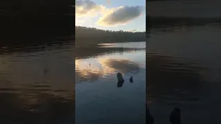 Fly fishing Great Lake, Tasmania