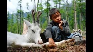 Кочевники Тайги (1992). Nomads of Taiga.