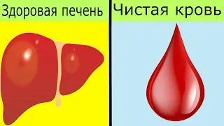 🍀 10 продуктов для очищения печени + 10 продуктов для очищения крови | Я знаю