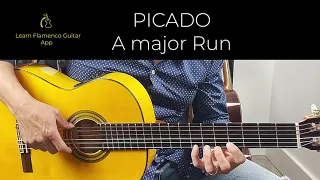 PICADO SCALES- FLAMENCO GUITAR