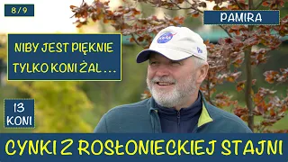 Cynki ze Stajni Rosłońce 8 i 9 dzień wyścigowy Adam Wyrzyk