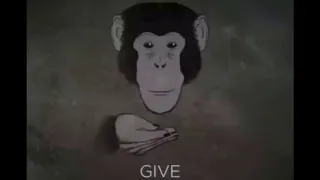 mmm... monkey