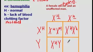 Incomplete Dominance, Codominance, and Sex-Linked