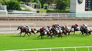 Vlog: 香港沙田賽馬 | The Hong Kong Jockey Club Horse Racing