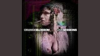 Habibi (Blossom Live Sessions)