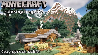 Minecraft Relaxing Longplay - Building a Cozy Spruce Starter Cabin (No Commentary) [1.17]