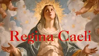 Regina Caeli - Queen of Heaven Rejoice!