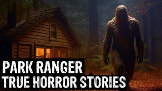 14 TRUE Terrifying Park Ranger Horror Stories (Dogman, Sasquatch, Wendigo, Deep Woods,Creepy)